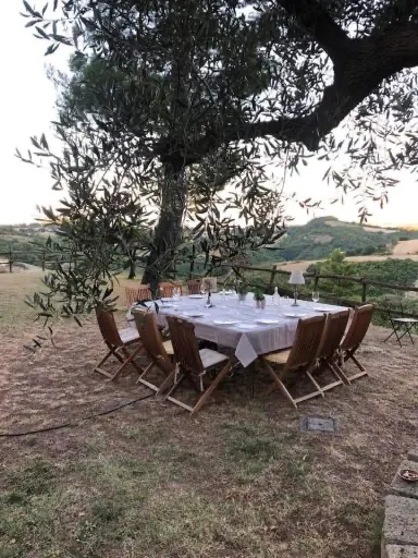 Tavola apparecchiata sotto l’ulivo