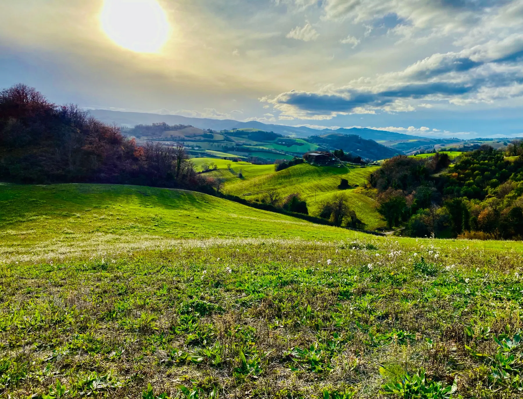 Vista sulle colline marchigiane dal casale